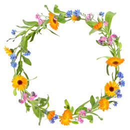 Wreath of beautiful wild flowers isolated on white