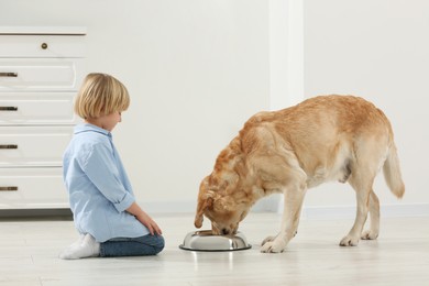 Photo of Cute little child feeding Golden Retriever at home. Adorable pet