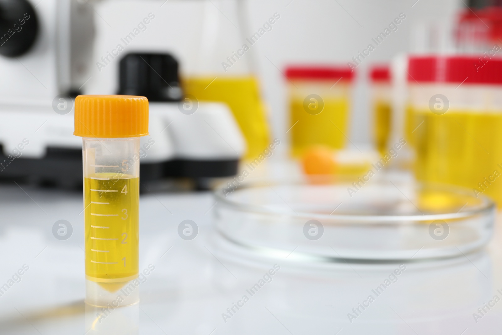 Photo of Container with urine sample on table in laboratory, space for text. Medical analysis