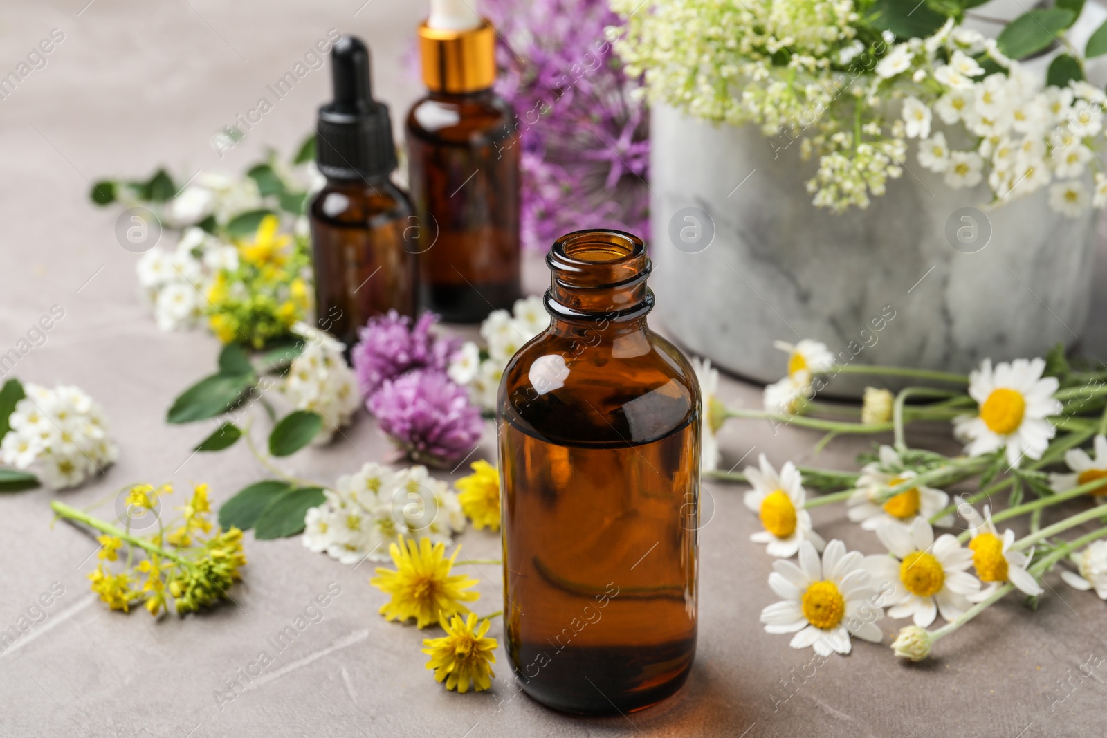 Photo of Composition with bottles of essential oils with flowers on grey table