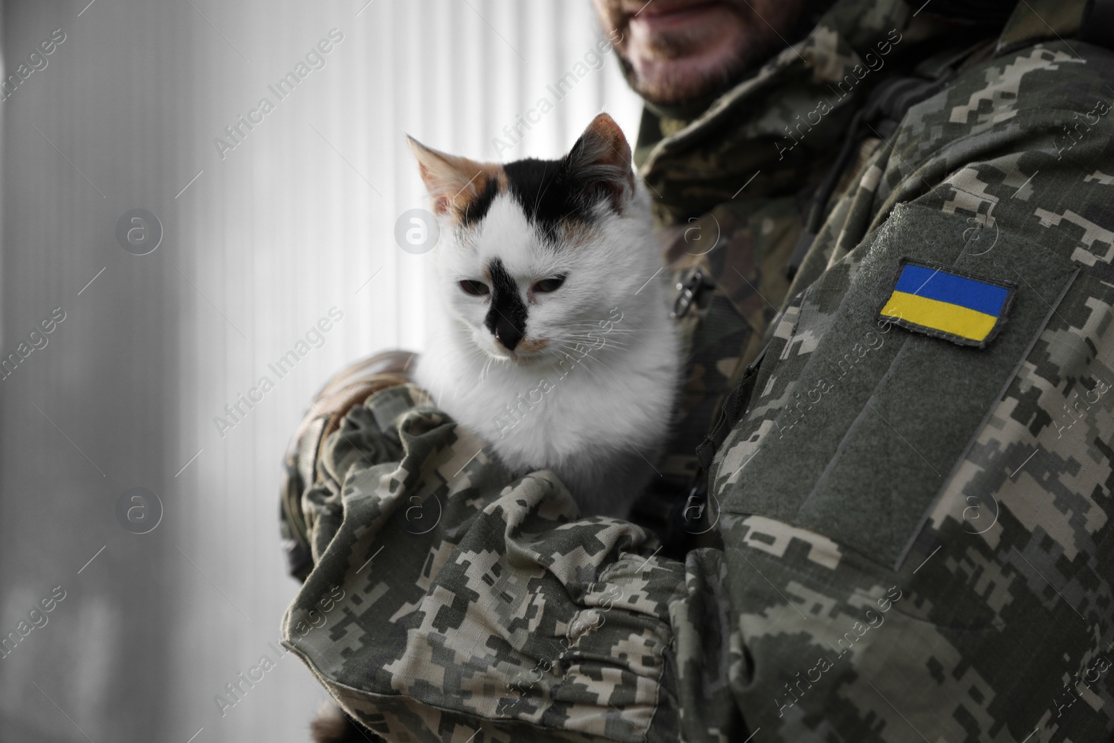Photo of Ukrainian soldier with stray cat against light background, closeup. Space for text