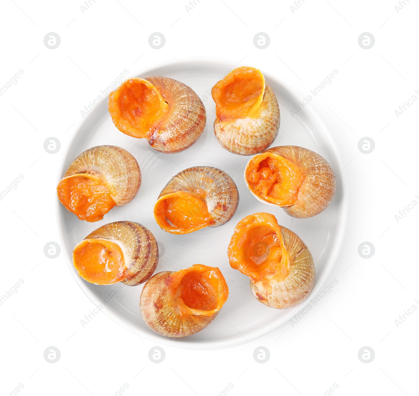 Photo of Delicious cooked snails isolated on white, top view