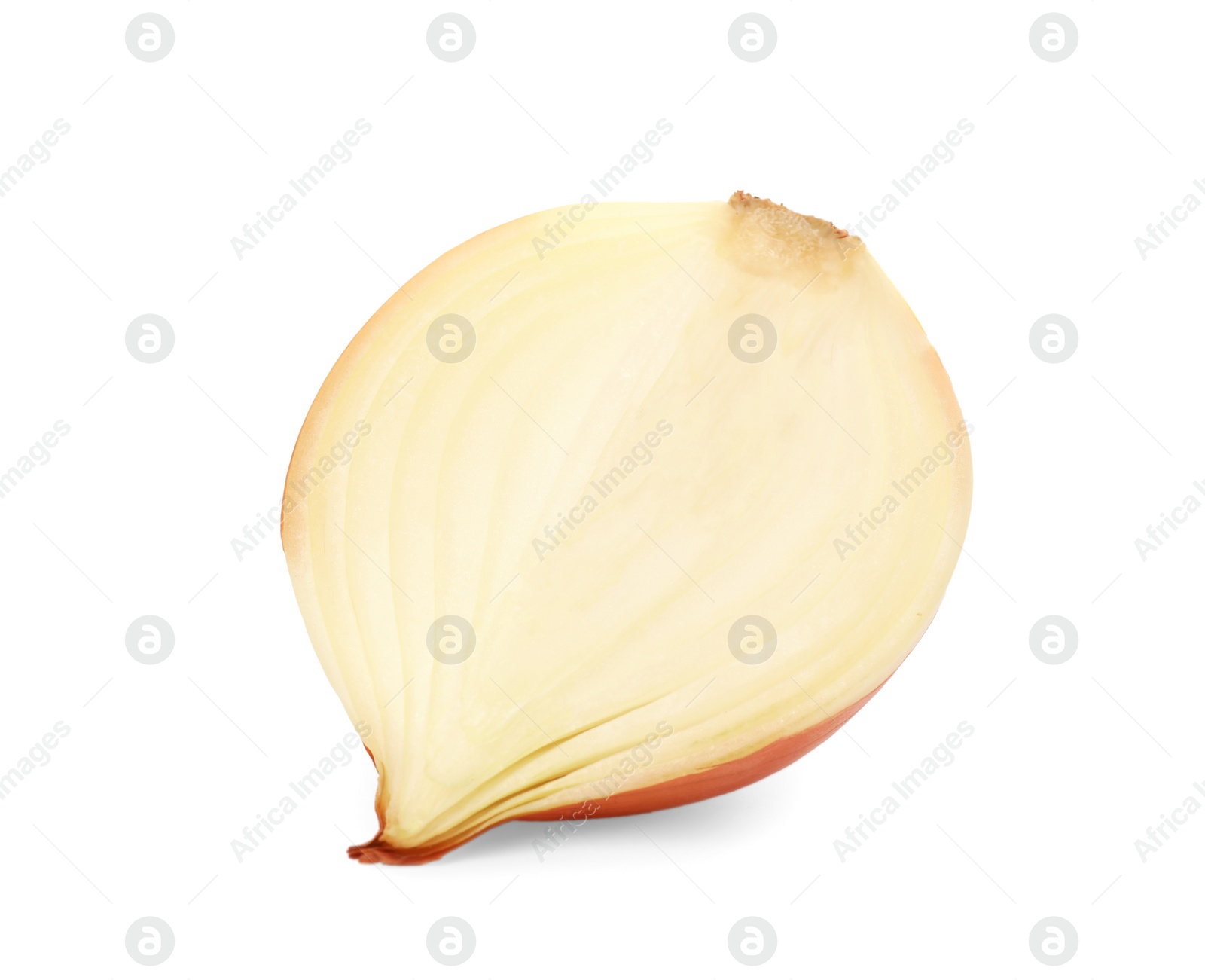 Photo of Half of fresh onion isolated on white