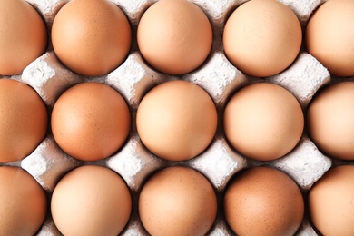 Photo of Raw chicken eggs in carton, top view