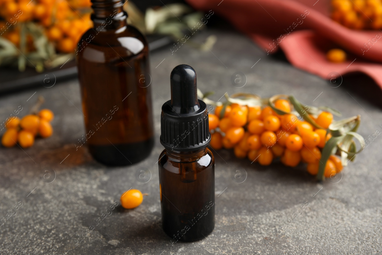 Photo of Ripe sea buckthorn and bottles of essential oil on grey table