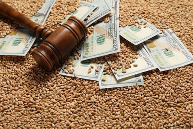 Photo of Dollar banknotes and wooden gavel on wheat grains, closeup. Agricultural business