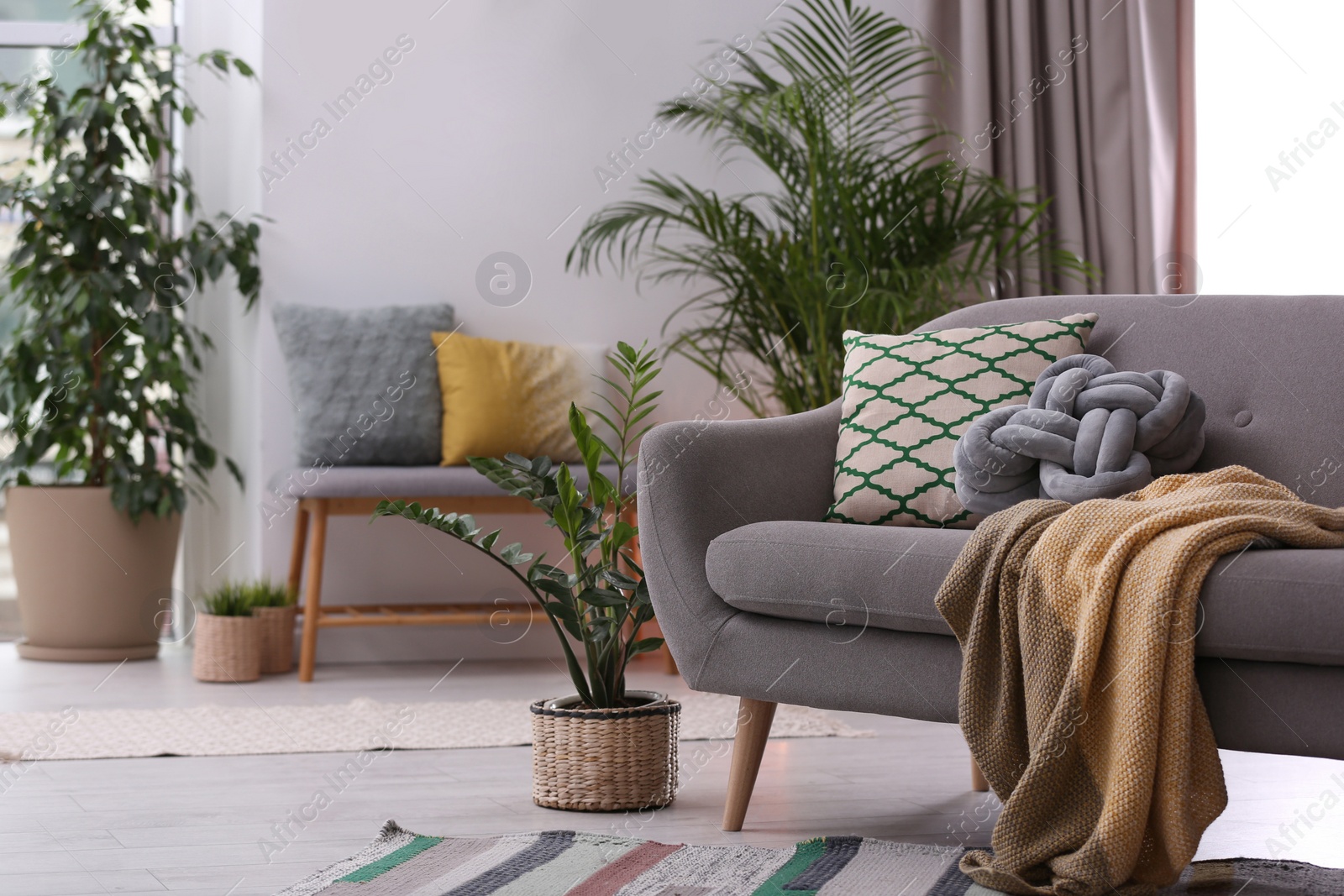 Photo of Stylish modern room interior with exotic houseplants