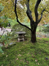 Photo of Different plants, stone lantern and little pond in Japanese garden