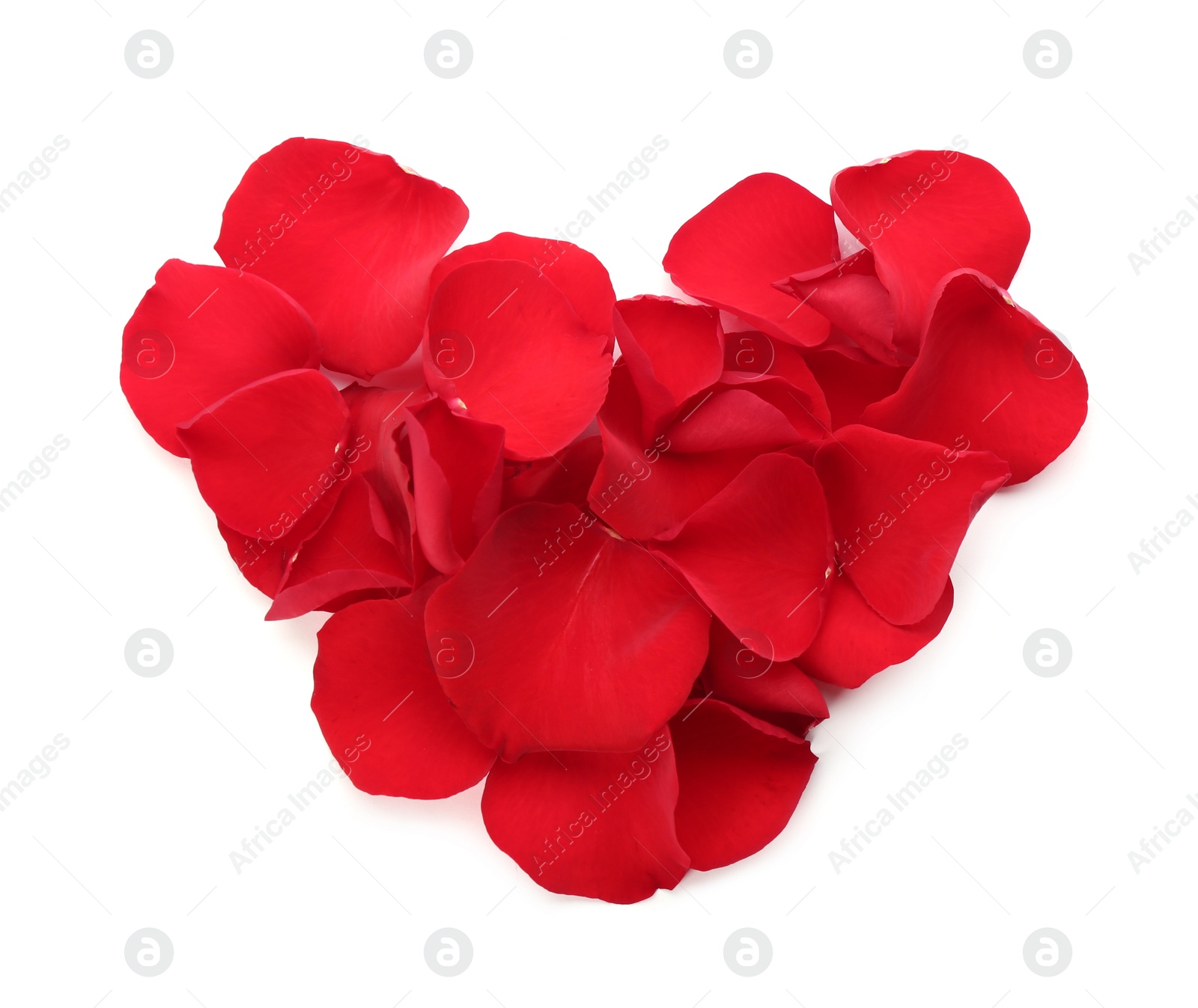 Photo of Heart made with red rose petals on white background, top view