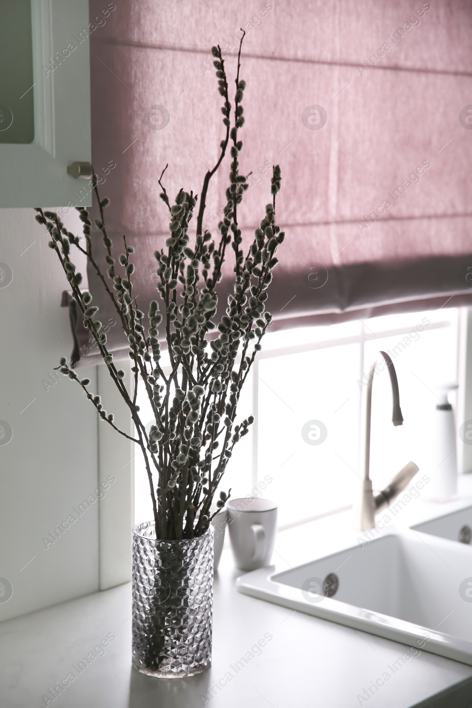 Photo of Beautiful blooming pussy willow branches in kitchen, space for text