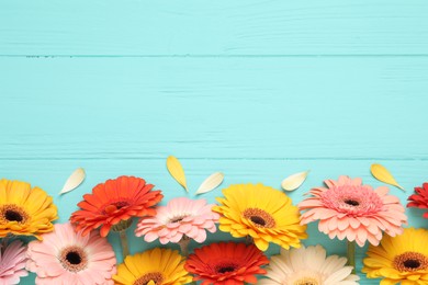 Photo of Beautiful colorful gerbera flowers and petals on turquoise wooden table, flat lay. Space for text