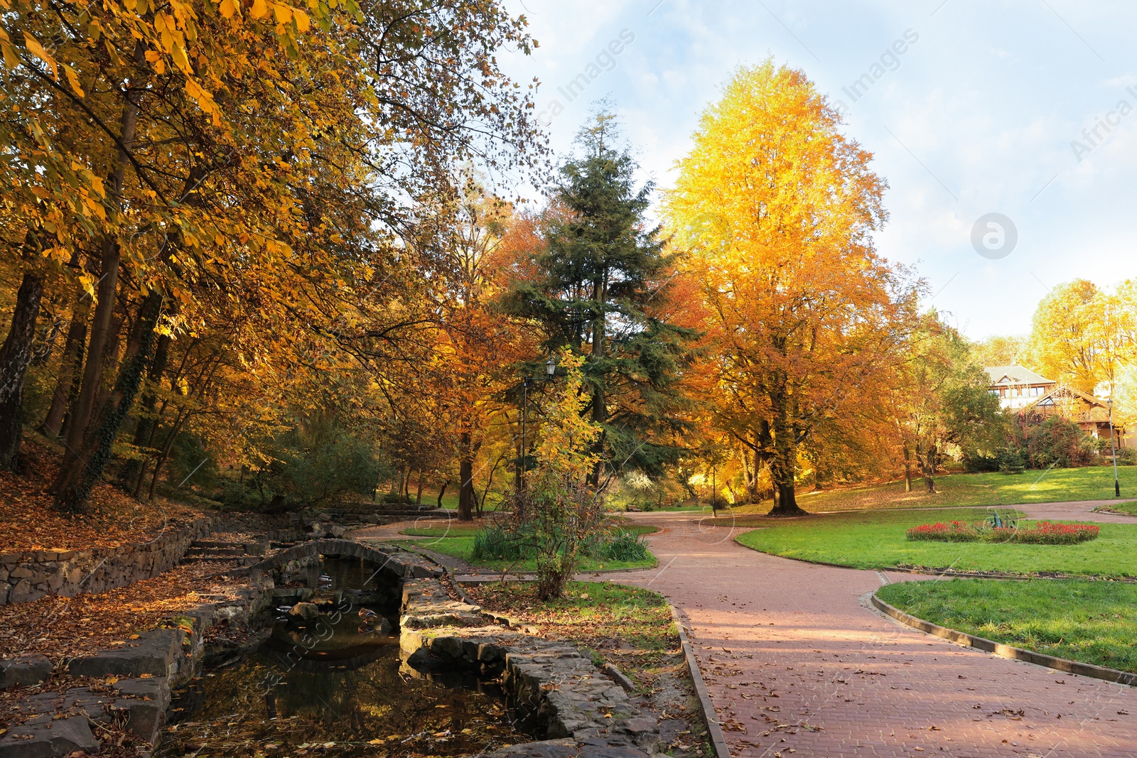 Photo of Beautiful yellowed trees and river in park