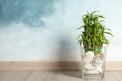 Photo of Green bamboo in glass vase near color wall. Space for text