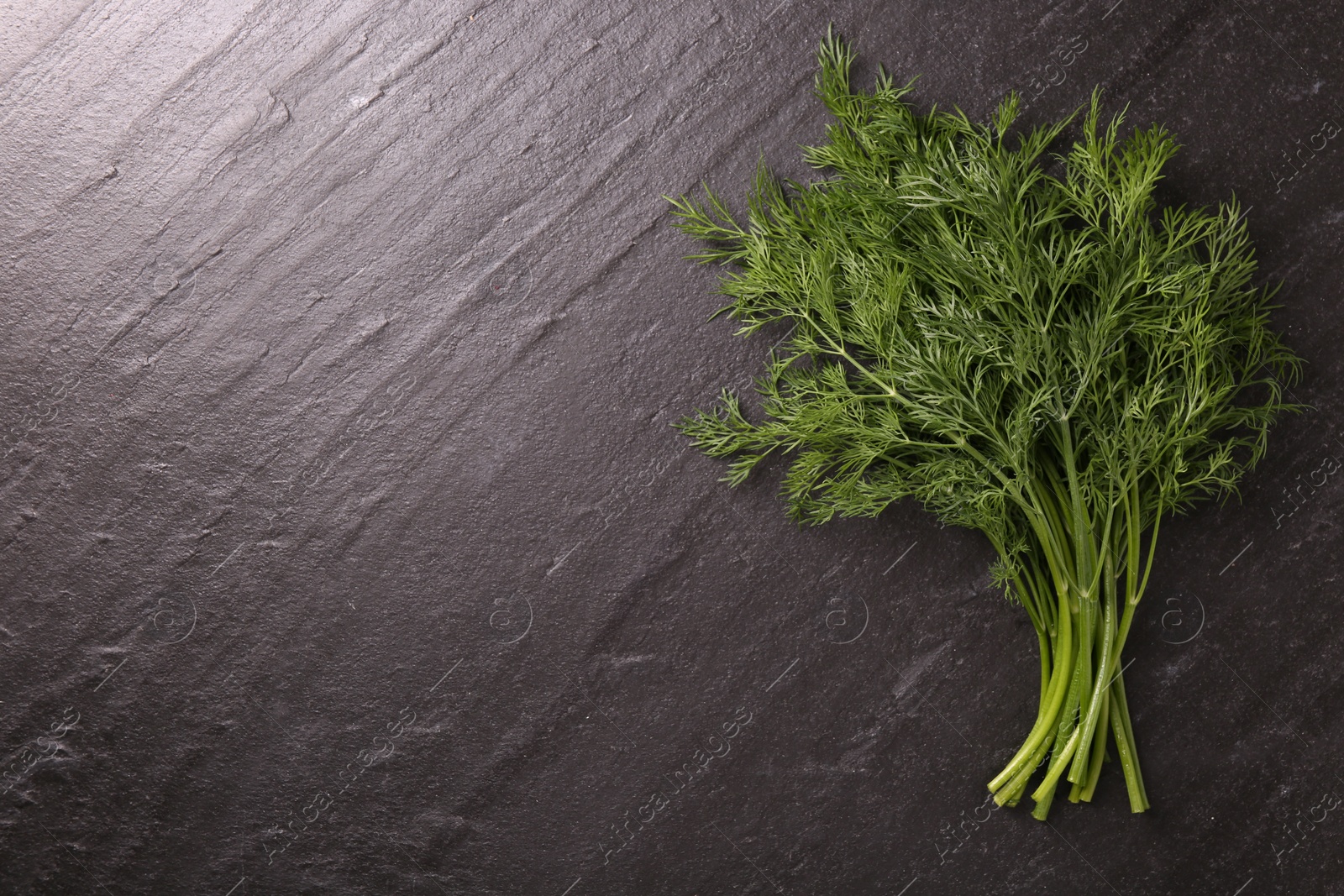 Photo of Sprigs of fresh dill on dark textured table, top view. Space for text