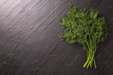 Photo of Sprigs of fresh dill on dark textured table, top view. Space for text