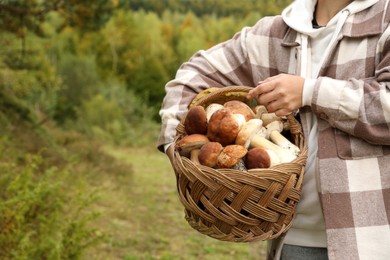 Photo of Man holding wicker basket with fresh wild mushrooms, closeup. Space for text