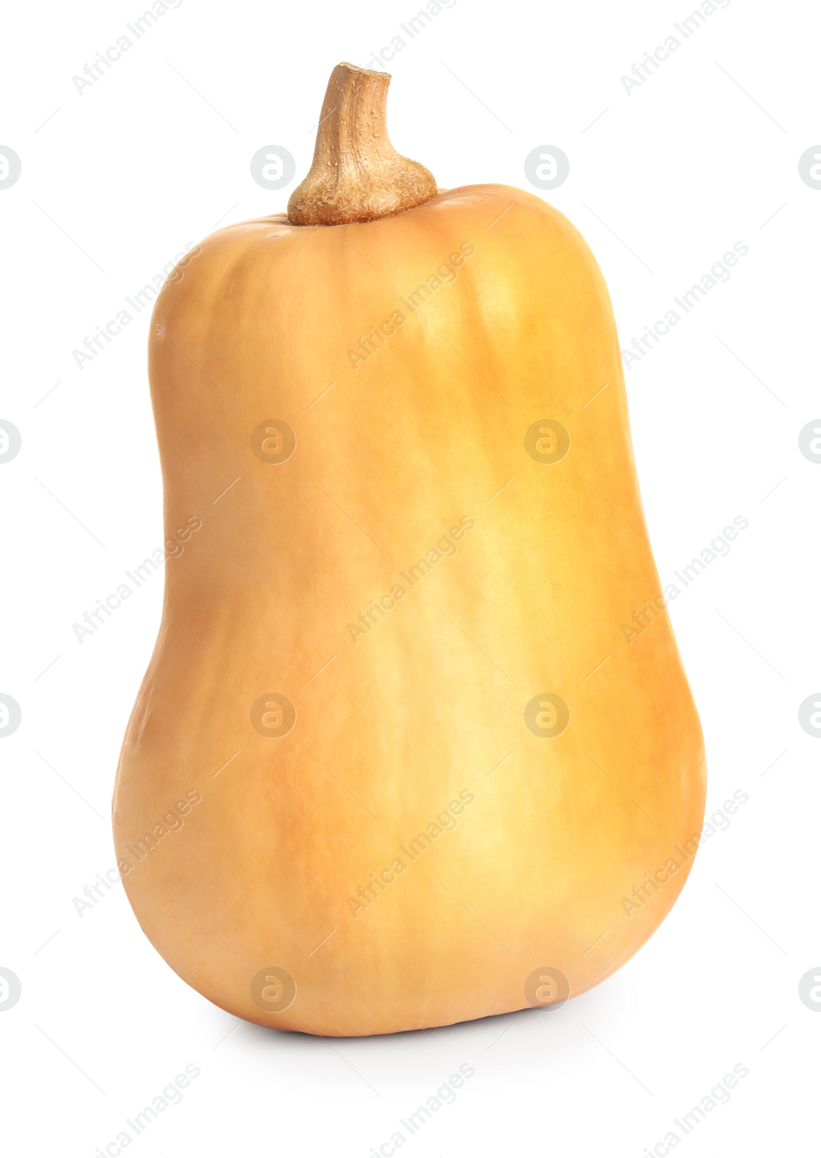 Photo of Fresh raw organic pumpkin isolated on white