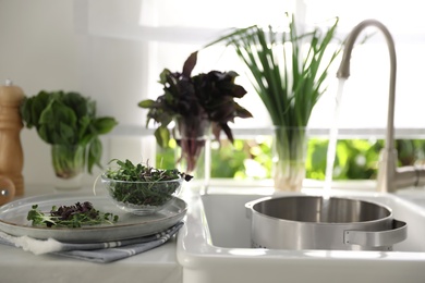 Bowl of fresh organic microgreen on countertop near sink in kitchen