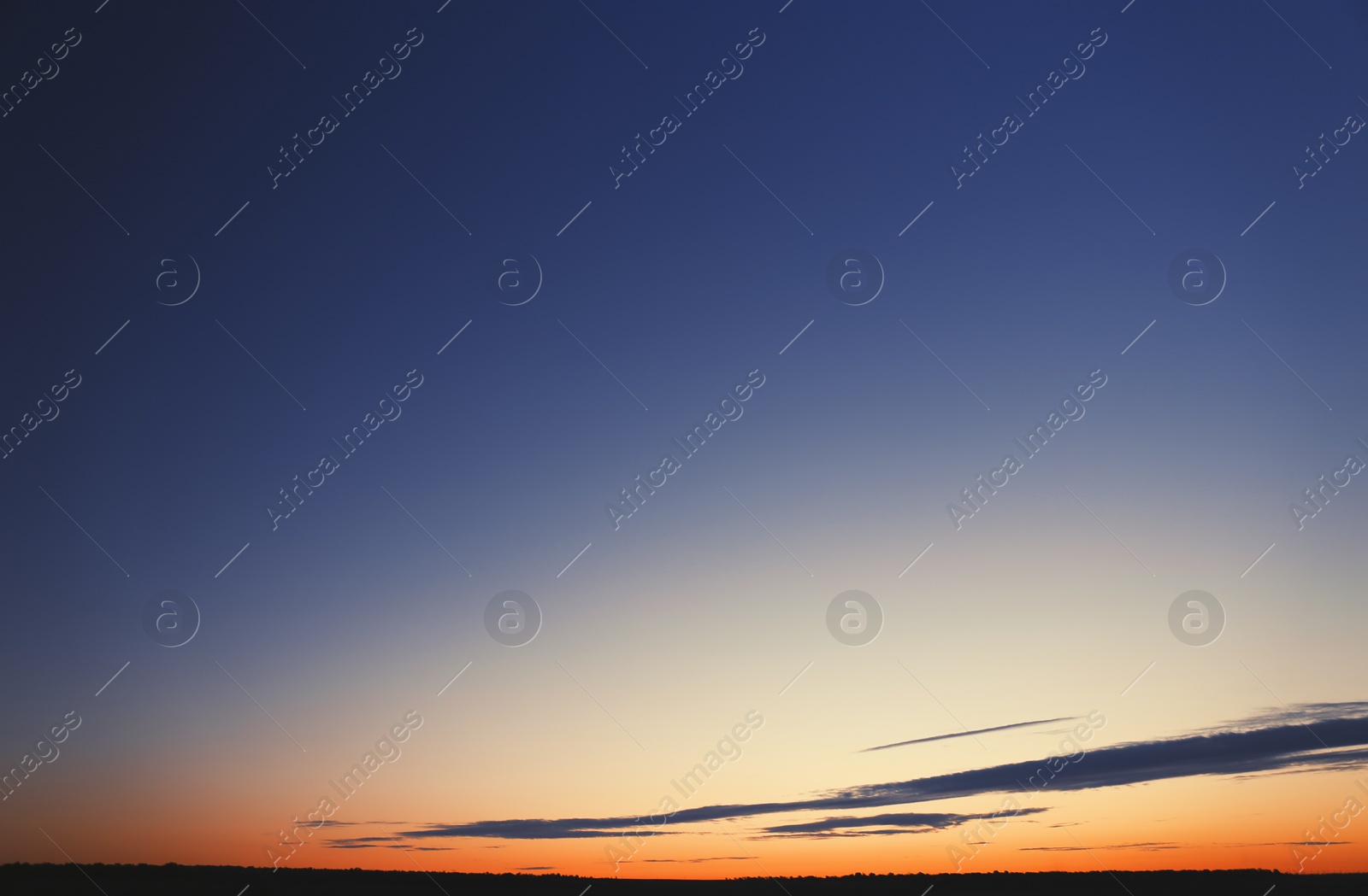 Photo of Picturesque view of beautiful sunrise. Morning sky