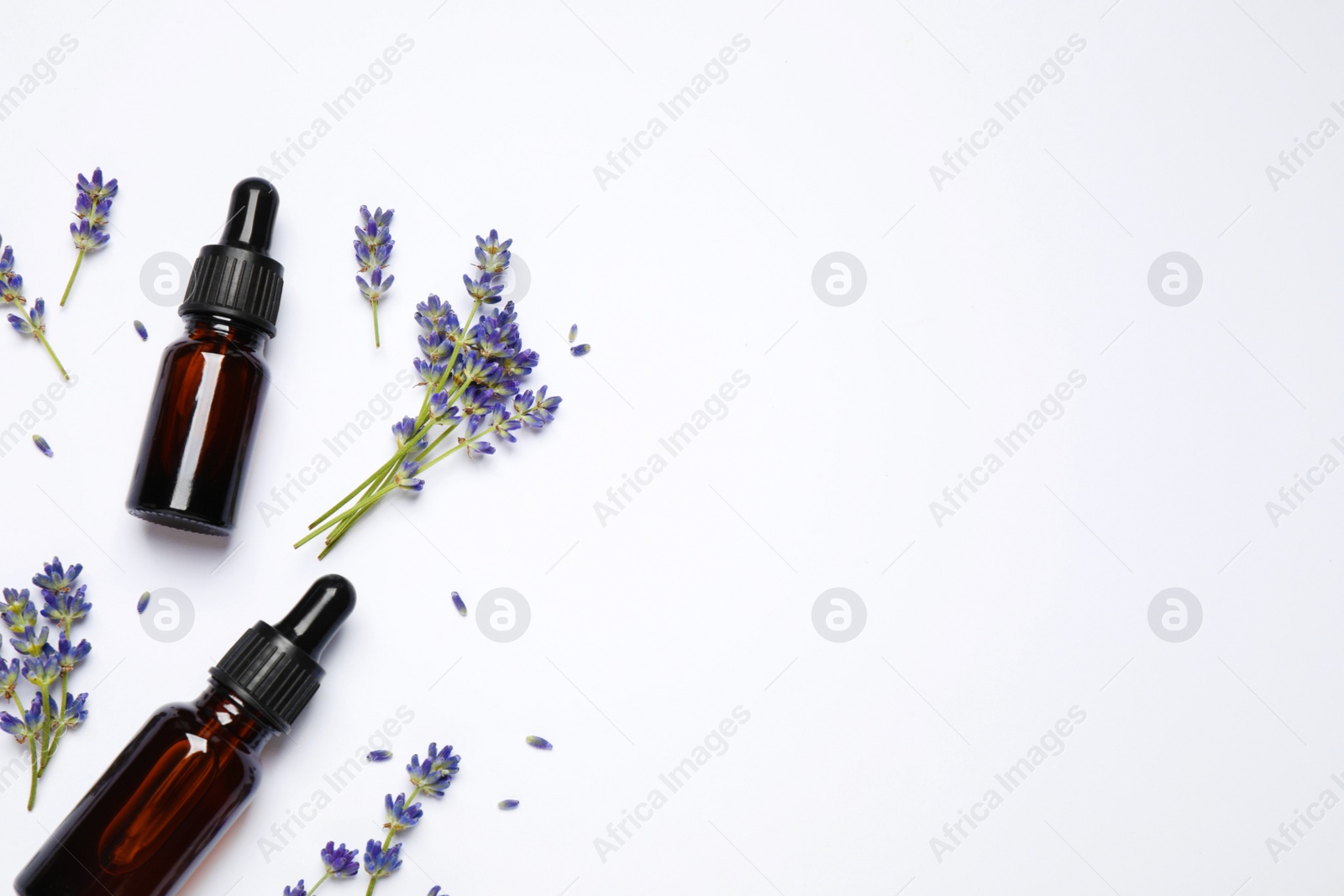 Photo of Composition with lavender flowers and natural essential oil on white background, top view