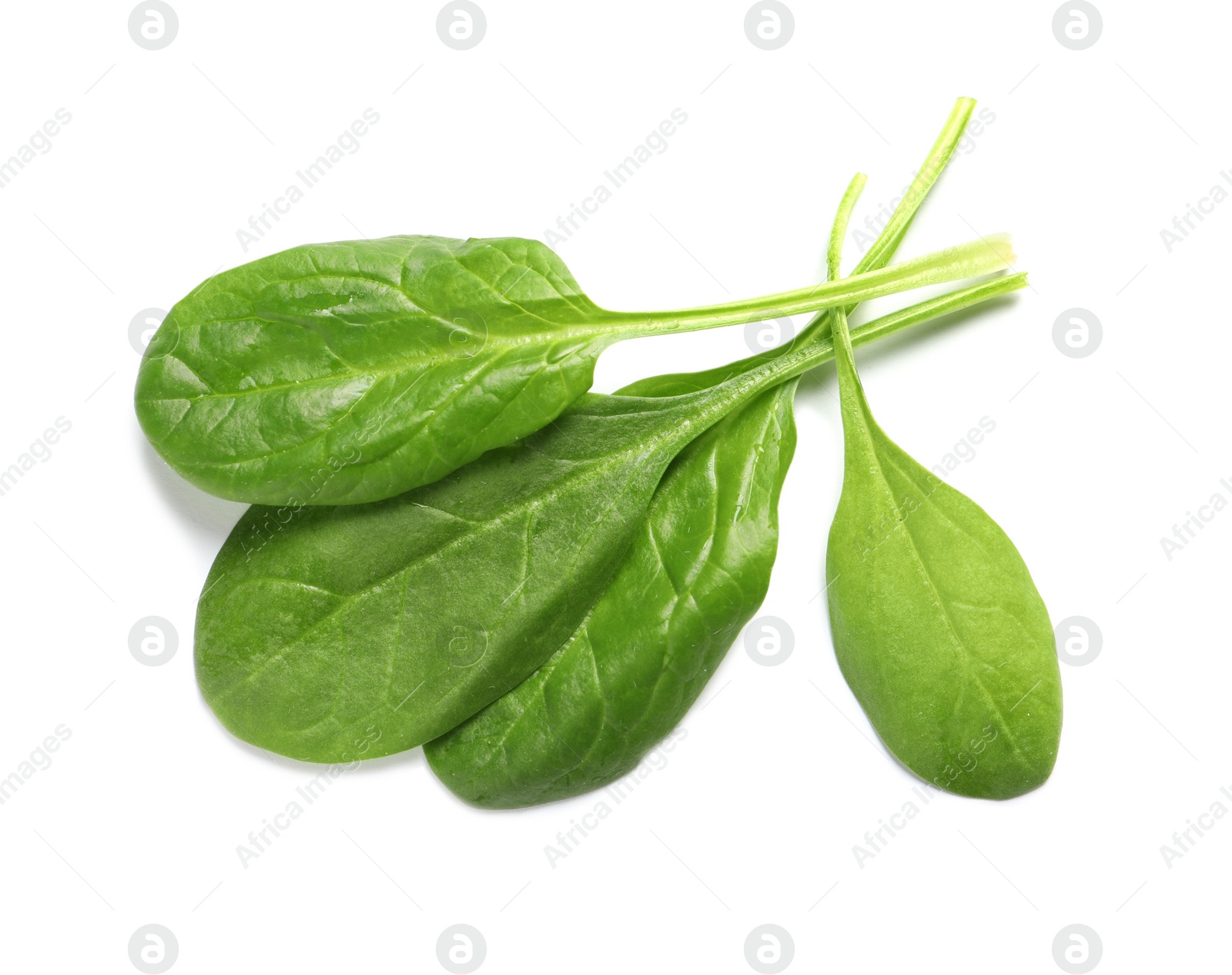 Photo of Fresh spinach on white background, top view. Natural food high in protein