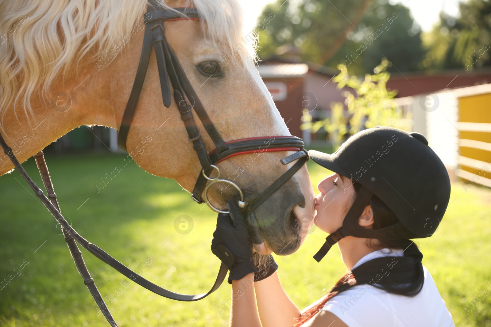 Photo of Young woman in horse riding suit and her beautiful pet outdoors on sunny day