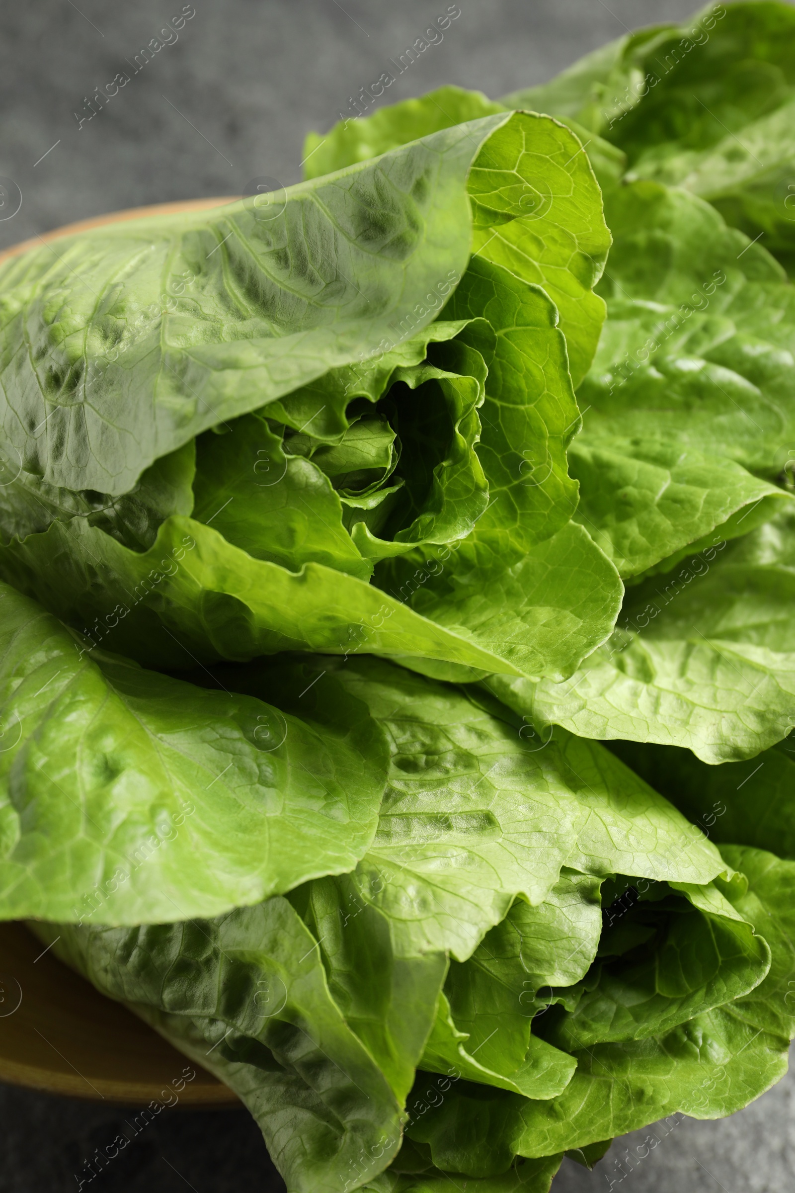 Photo of Fresh green romaine lettuces on blurred background, closeup