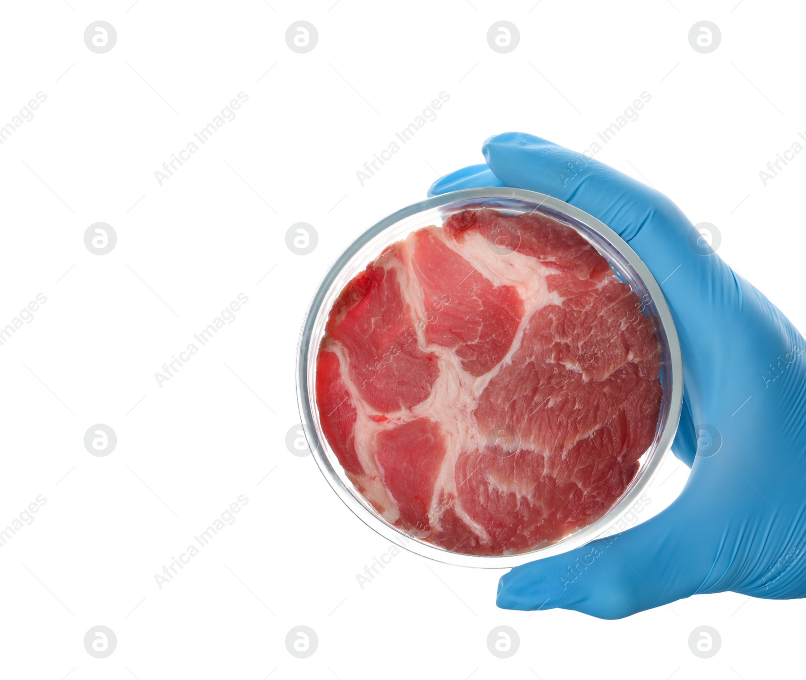 Photo of Scientist holding Petri dish with piece of raw cultured meat on white background, top view