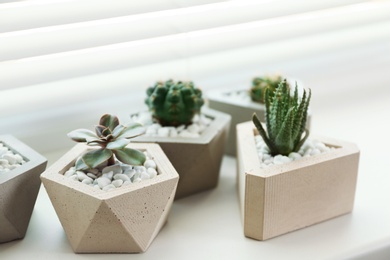 Photo of Window with blinds and potted plants on sill, closeup