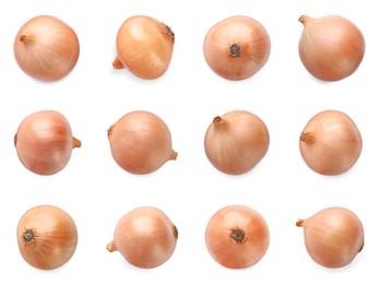 Image of Collage with fresh unpeeled onion bulbs on white background