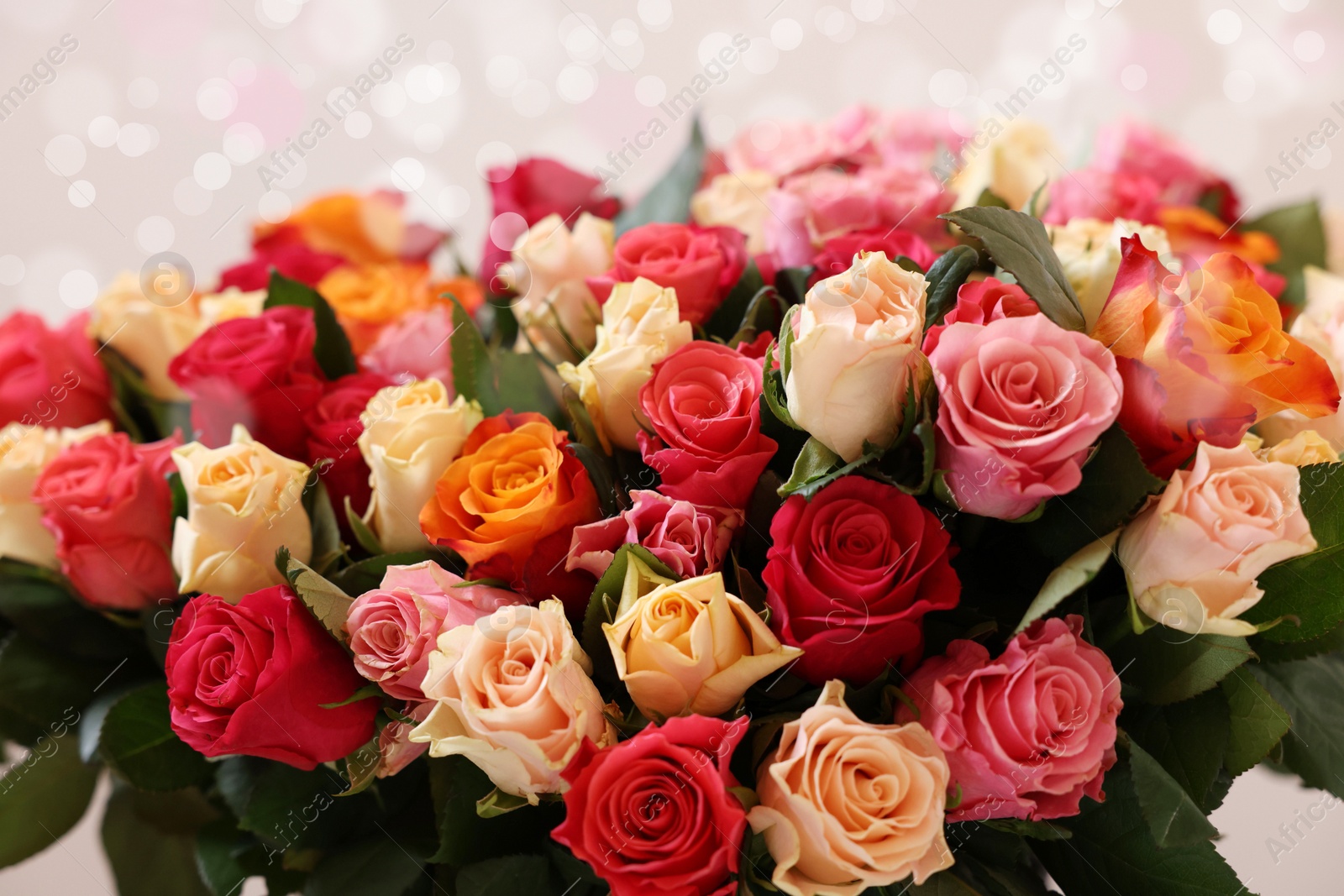 Photo of Bouquet of beautiful roses on light background, closeup
