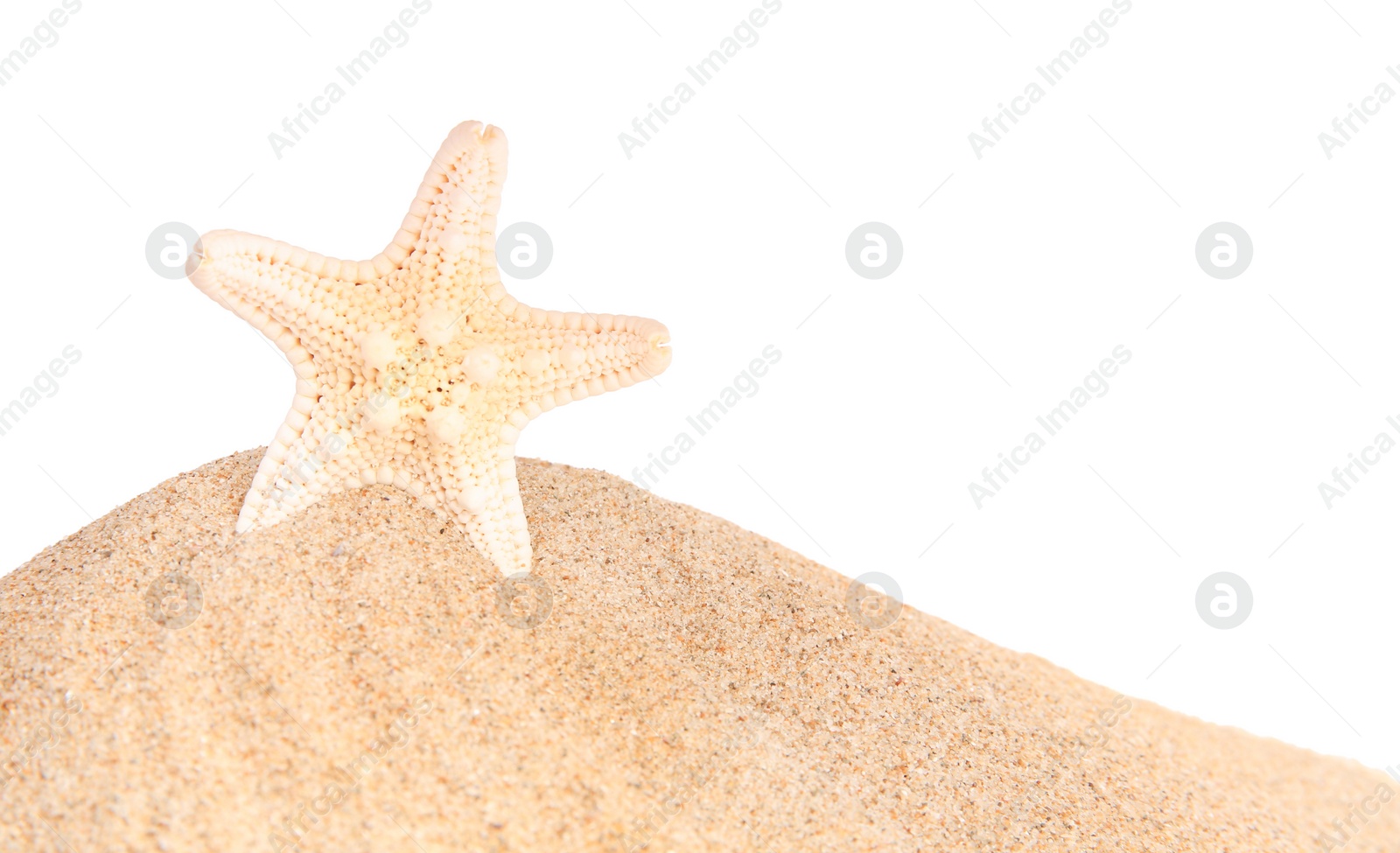 Photo of Sand with beautiful sea star isolated on white, space for text
