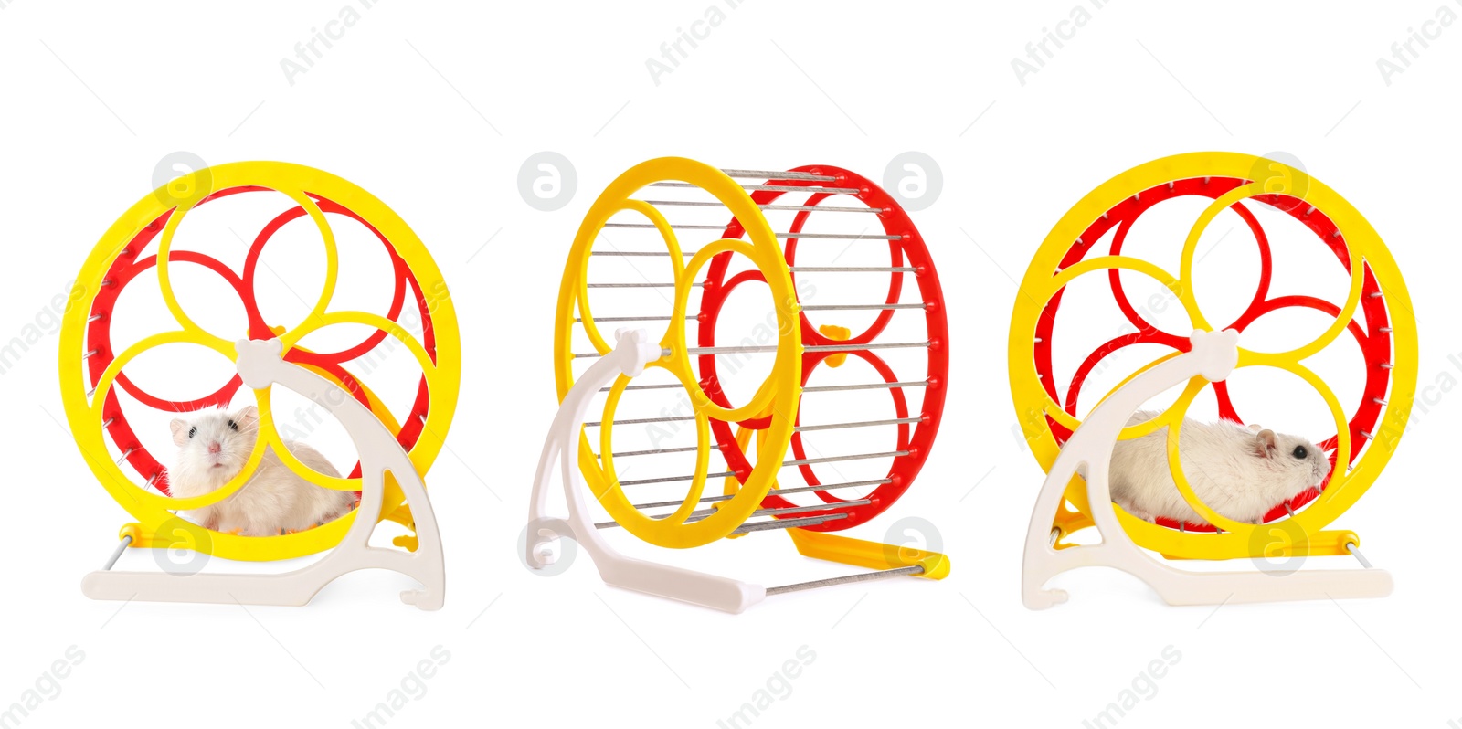 Image of Cute funny hamsters running in wheels on white background, collage. Banner design