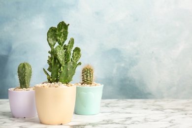 Beautiful cacti on table