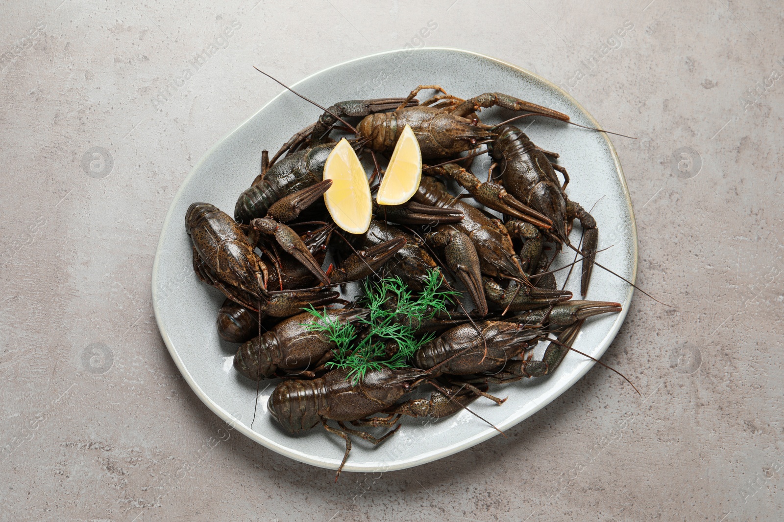 Photo of Fresh raw crayfishes with lemon and dill on light grey table, top view
