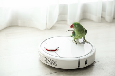 Photo of Modern robotic vacuum cleaner and Alexandrine parakeet on floor indoors