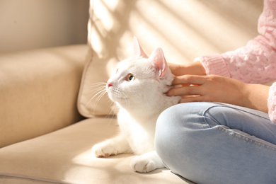 Young woman with her beautiful white cat at home, closeup. Fluffy pet