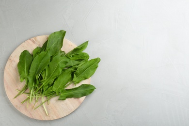 Photo of Fresh green sorrel leaves on light grey table, top view. Space for text