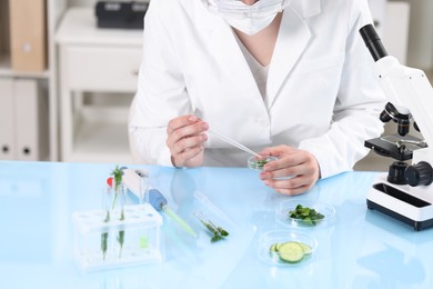Quality control. Food inspector examining dill in laboratory, closeup