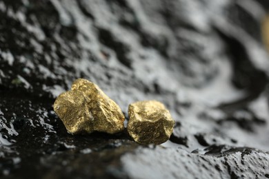 Shiny gold nuggets on wet stone, closeup. Space for text