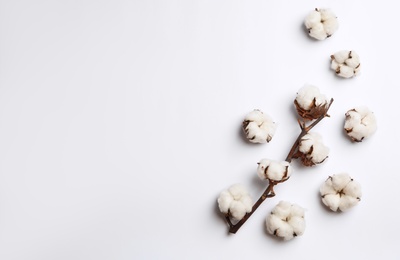 Photo of Composition with cotton flowers on white background, top view