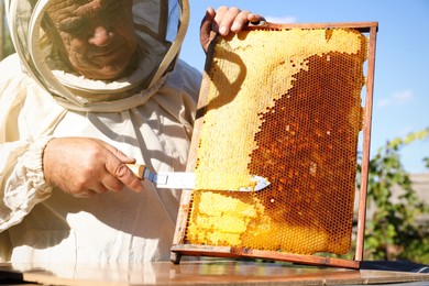 Senior beekeeper uncapping honeycomb frame with knife outdoors