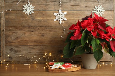 Poinsettia (traditional Christmas flower), cookies and string lights on wooden table. Space for text