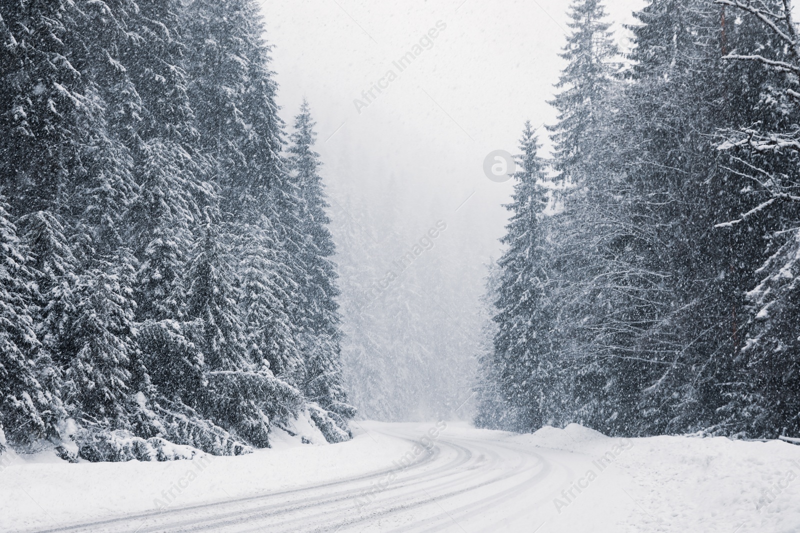 Photo of Beautiful landscape with road and conifer forest on snowy winter day