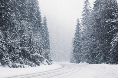 Beautiful landscape with road and conifer forest on snowy winter day