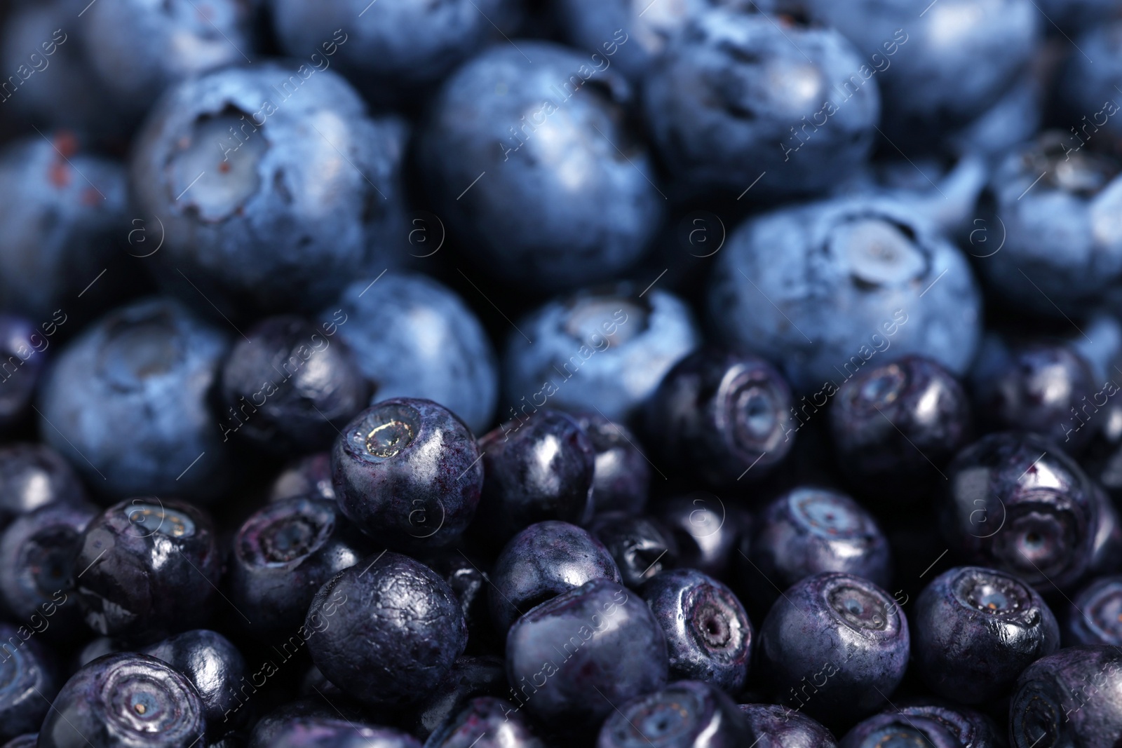 Photo of Ripe bilberries and blueberries as background, closeup