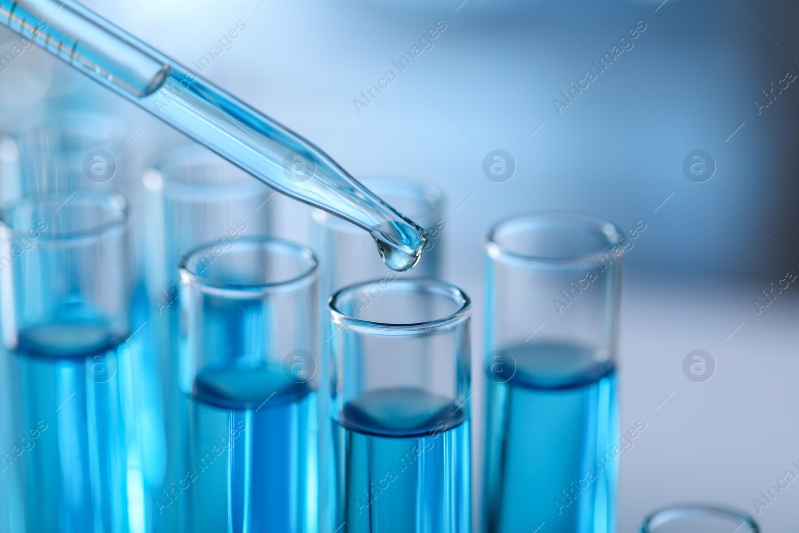 Photo of Dripping liquid from pipette into test tube in laboratory, closeup