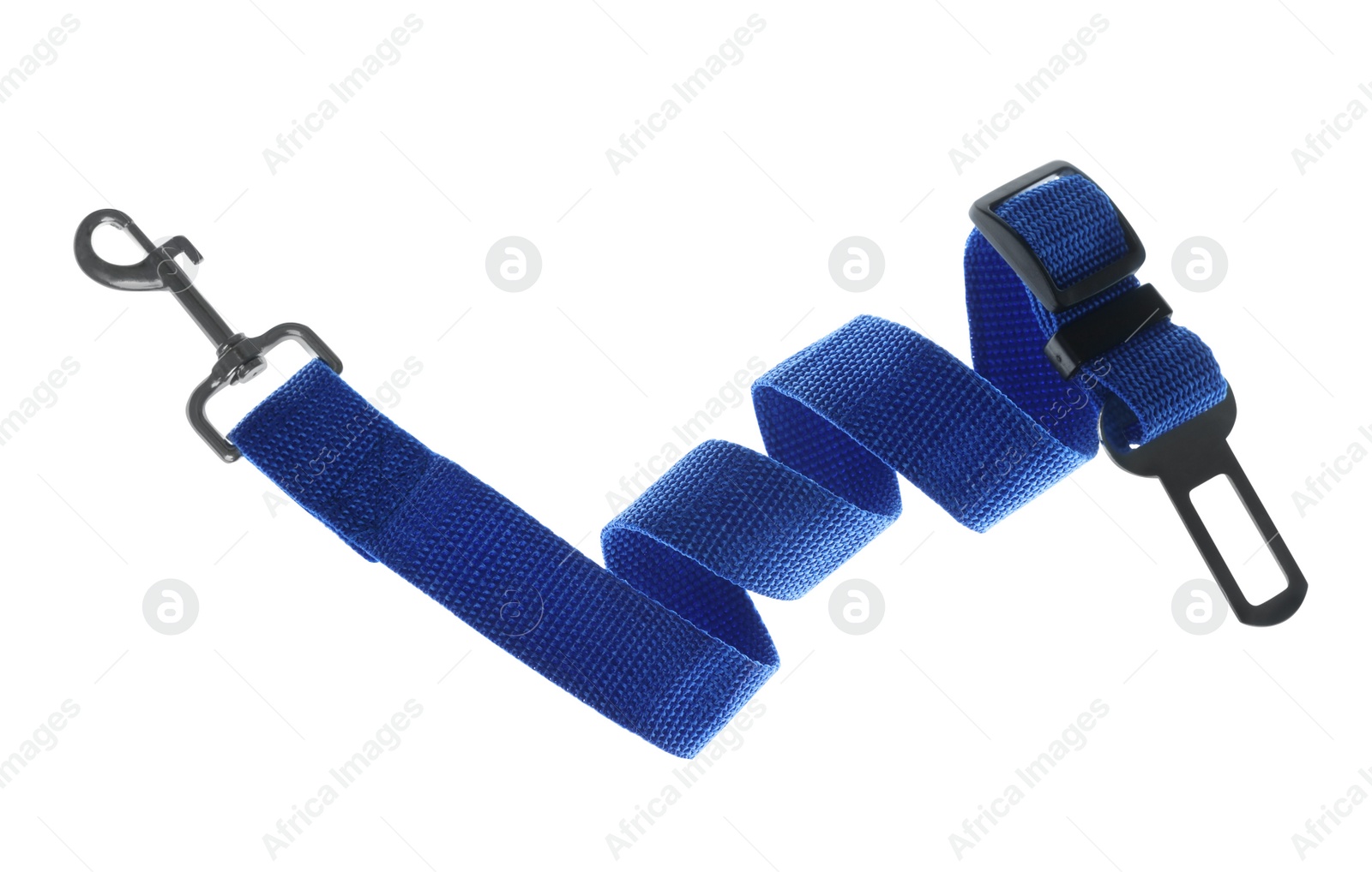 Photo of Blue dog leash isolated on white. Pet accessory