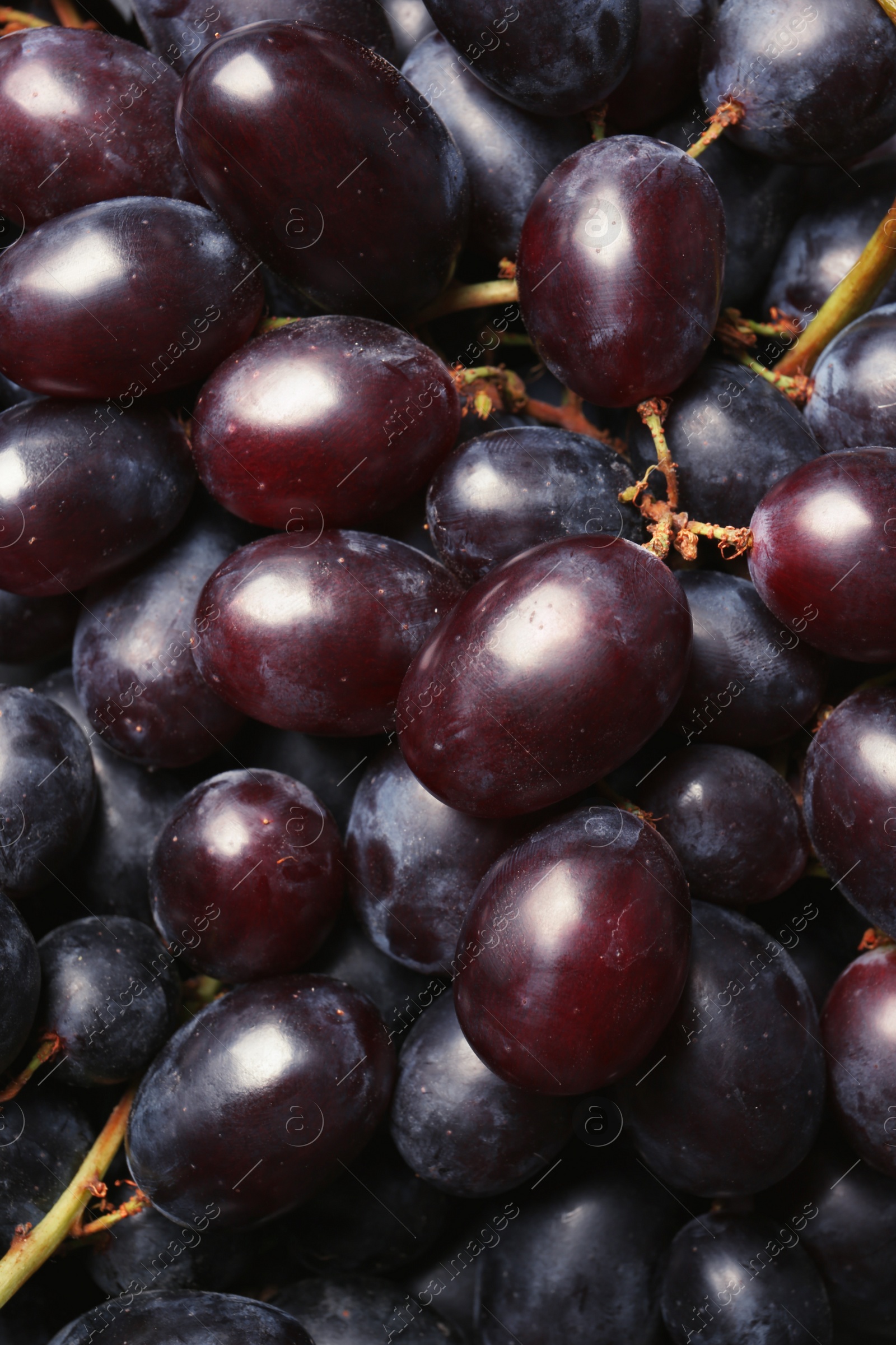 Photo of Fresh ripe juicy grapes as background, closeup