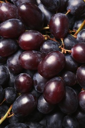 Photo of Fresh ripe juicy grapes as background, closeup